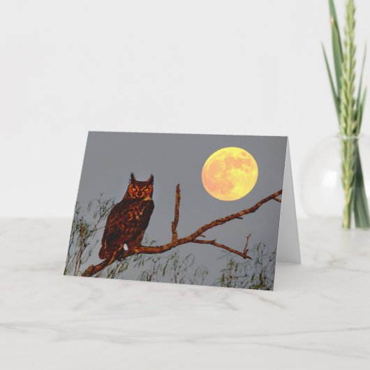 Grote Uil | Volle Maan Kaart (Voorkant)