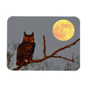Grote Uil   Volle Maan Magneet