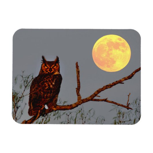 Grote Uil | Volle Maan Magneet (Horizontaal)