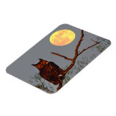 Grote Uil | Volle Maan Magneet (Linkerzijde)