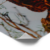 Grote Uil | Volle Maan Poster (Hoek)