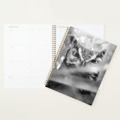 Grote Uil - Wilde Natuur Vogel Kunstprint Planner (Display)