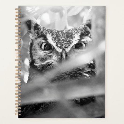 Grote Uil - Wilde Natuur Vogel Kunstprint Planner (Voorkant)