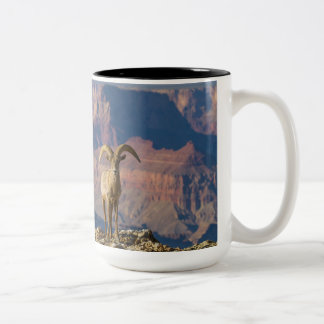 Grote Uitzicht Koffie-Mok Tweekleurige Koffiemok
