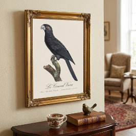 Grote Vasapapegaai, Coracopsis Vasa Illustratie Foto Afdruk