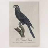 Grote vasapapegaai, Coracopsis Vasa Illustratie Legpuzzel (Verticaal)