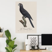 Grote Vasapapegaai, Coracopsis Vasa Illustratie Poster (Thuiskantoor)