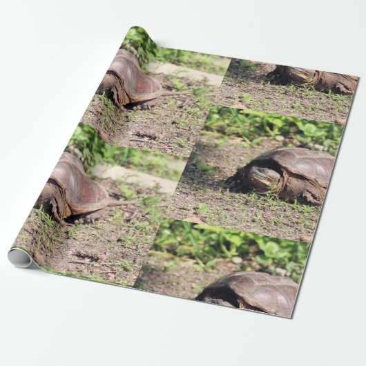 Grote vent cadeaupapier (Uitgerold)