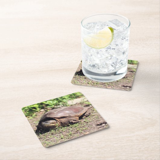 Grote vent kartonnen onderzetters (Insitu)