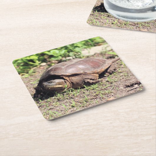 Grote vent kartonnen onderzetters (Schuin)