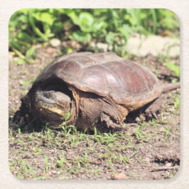 Grote vent kartonnen onderzetters