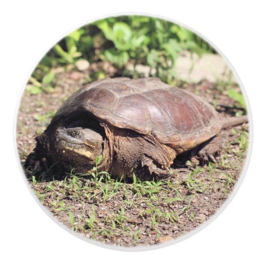 Grote vent keramische knop (Voorkant)