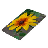 Grote ventilatormagneet magneet (Linkerzijde)