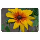 Grote ventilatormagneet magneet (Horizontaal)