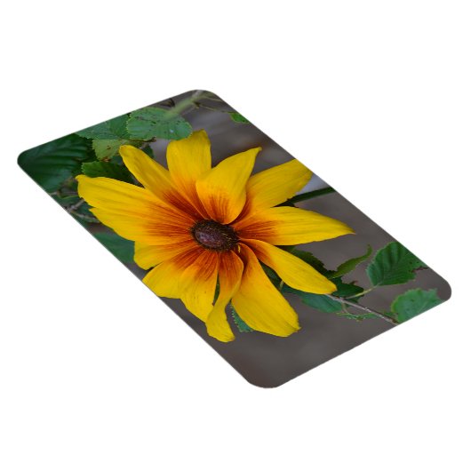 Grote ventilatormagneet magneet (Rechterzijde)