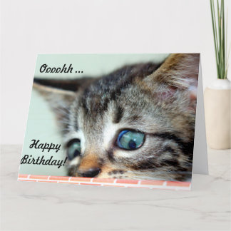 Grote Verjaardag Kaart Schattige Kitten zegt Happy