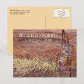 Grote Versteende Boom in Versteend Bos NP Briefkaart (Voorkant / Achterkant)