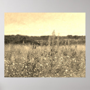 Grote Vintage Botanische Gouden Veld Bloemige Groe Poster