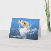 Grote vis mijlpaal verjaardag