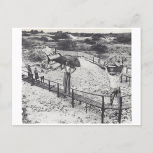 Grote vis - uitnodiging briefkaart