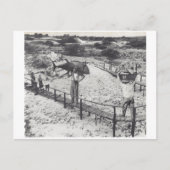 Grote vis - uitnodiging briefkaart (Voorkant)