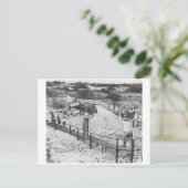 Grote vis - uitnodiging briefkaart (Staand voorkant)