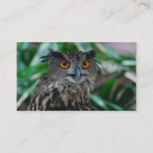 Grote Visitekaartjes (Achterkant)