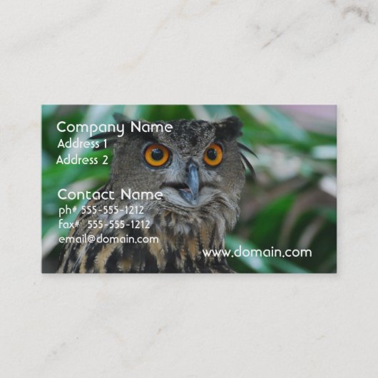 Grote Visitekaartjes (Voorkant)