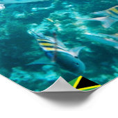 grote visjamaica poster (Hoek)