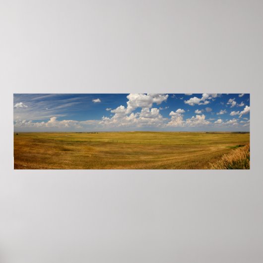 Grote vlakken in Zuid-Dakota in de zomer Poster (Voorkant)