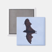 Grote vliegende vleermuis magneet (Voorkant / Achterkant)