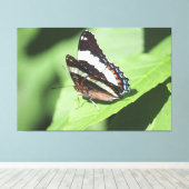 Grote vlinder canvas Print (Insitu (Houten vloer))
