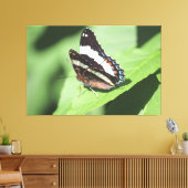 Grote vlinder canvas Print (Insitu (Woonkamer))