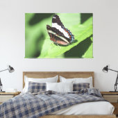 Grote vlinder canvas Print (Insitu (Slaapkamer))