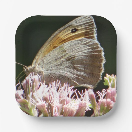 grote vlinder papieren bordje (Voorkant)