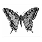 Grote vlinder Rubberstempel (Afrduk)