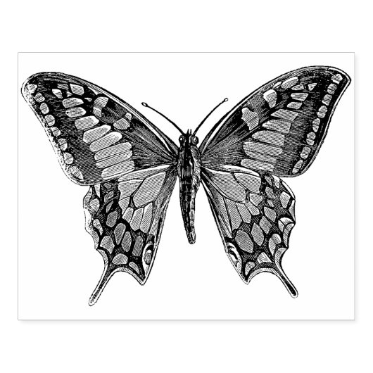 Grote vlinder Rubberstempel (Afrduk)