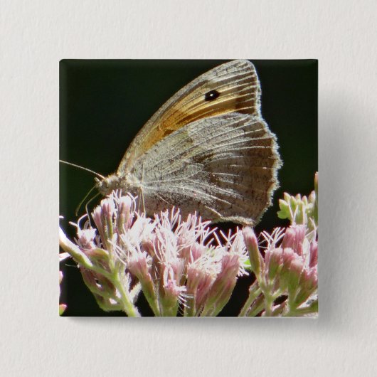 grote vlinder vierkante button 5,1 cm (Voorkant)