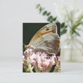  grote vlinderplatte kaart (Staand voorkant)