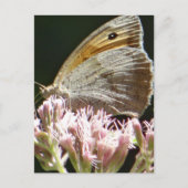  grote vlinderplatte kaart (Voorkant)