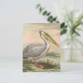 Grote  vogel van Pelican Briefkaart (Staand voorkant)