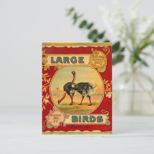 Grote vogels briefkaart (Staand voorkant)