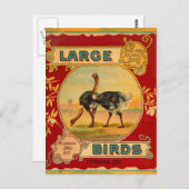 Grote vogels briefkaart (Voorkant / Achterkant)