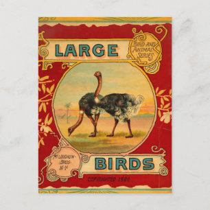 Grote vogels briefkaart