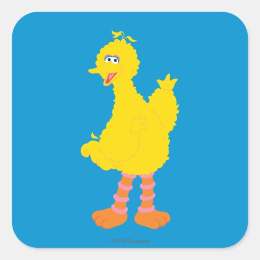 Grote Vogels Grafiek Vierkante Sticker (Voorkant)
