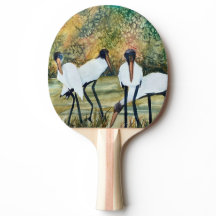 Grote Vogels Ooievaar Kunst Witte Houtooievaars