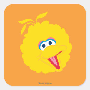 Grote Vogelsgezicht Vierkante Sticker