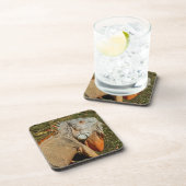 Grote volwassen groene Iguana-hagedis in de gras Bier Onderzetter (Rechterzijde)