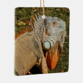 Grote volwassen groene Iguana-hagedis in de gras Keramisch Ornament (Rechts)