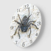 Grote Vrouw Huntsman Spider Grote Klok (Hoek)